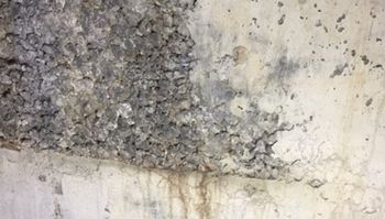 Concrete Waterproofing