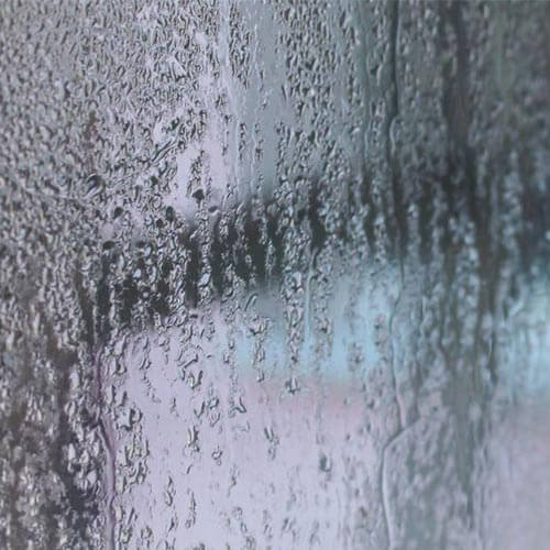 Damp walls and Condensation forming on a window