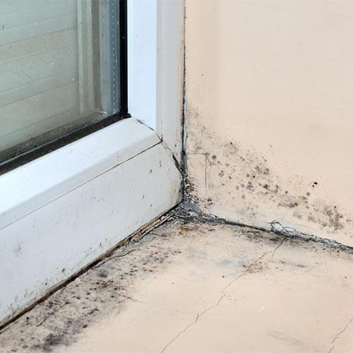 Damp around a windowframe